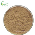 Factory Supply food grade 100% pure Asparagus racemosus root shatavari powder